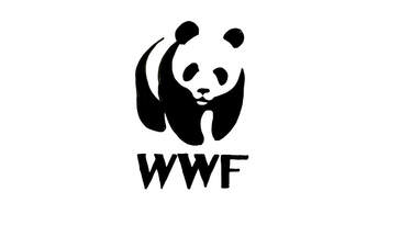 WWF logo (World Wildlife Fund)