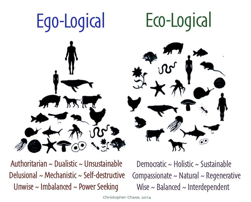 Ego-logical (pyramid) to Eco-logical (circle) world view